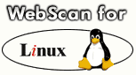 Webscan für Linux Proxy Server